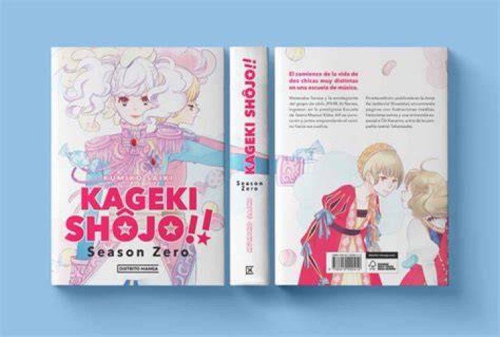 イメージビデオはどこから「過激」になるのか 見分け方と注意点