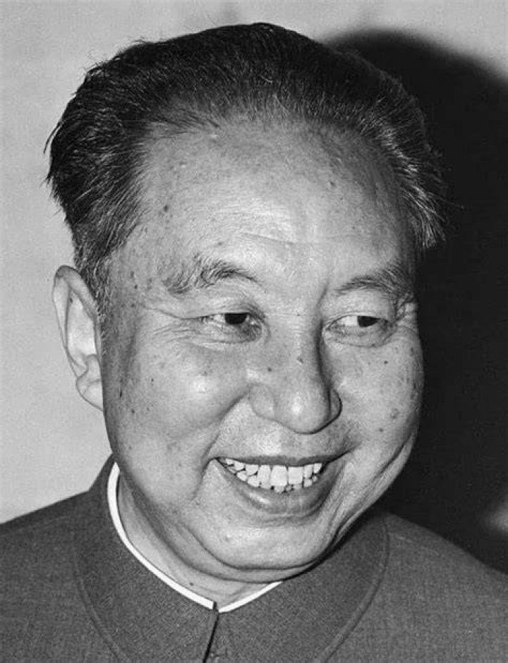 Mao Hamasakiに関する検索結果をイメージした図